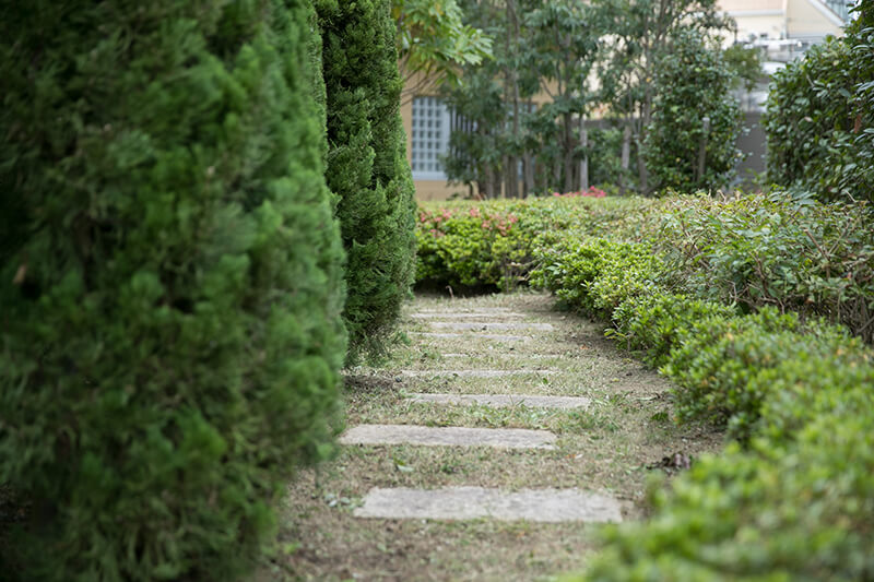 外観・中庭・屋上の写真